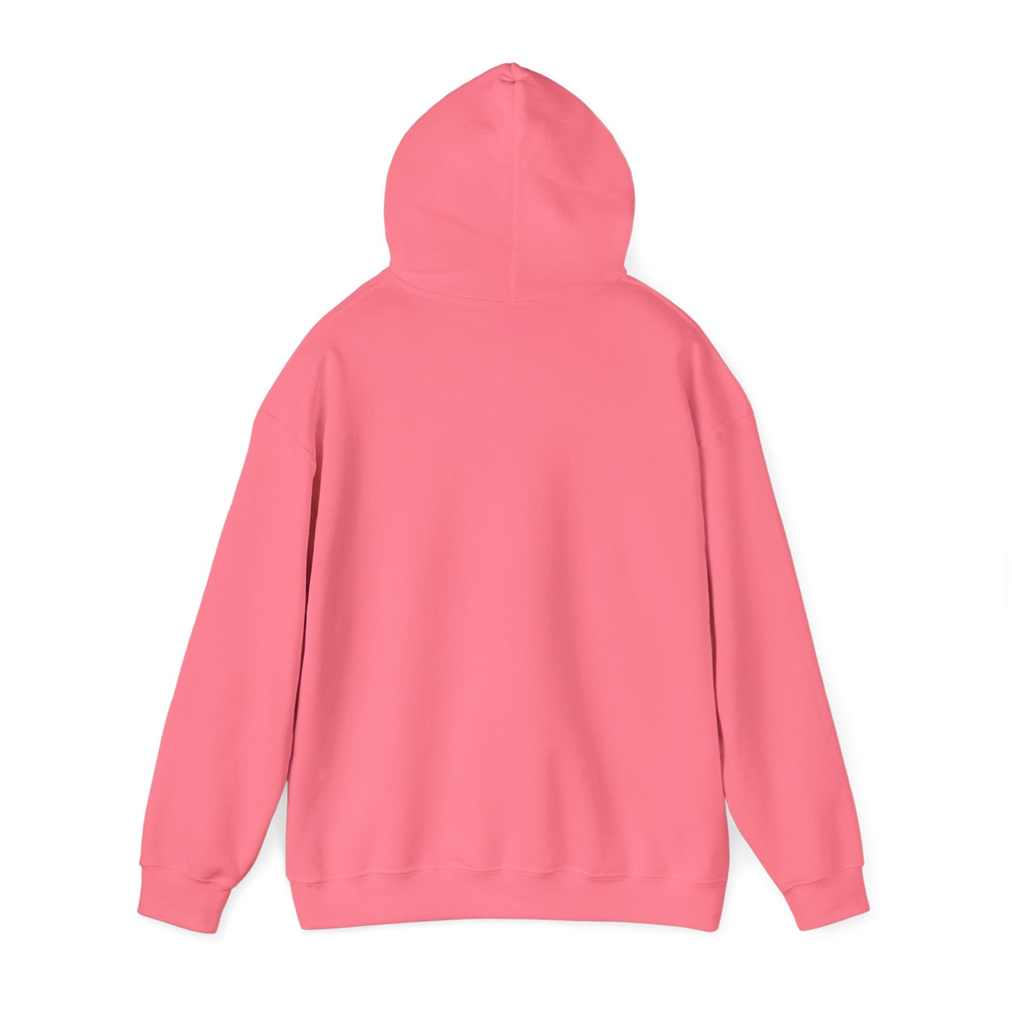 CC4L Hooded Sweatshirt